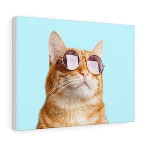 Cat is Alway's Right Canvas Gallery Wraps Wall Art