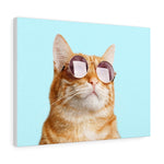 Charger l&#39;image dans la galerie, Cat is Alway&#39;s Right Canvas Gallery Wraps Wall Art
