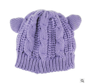 Cat Ears Knit Hat